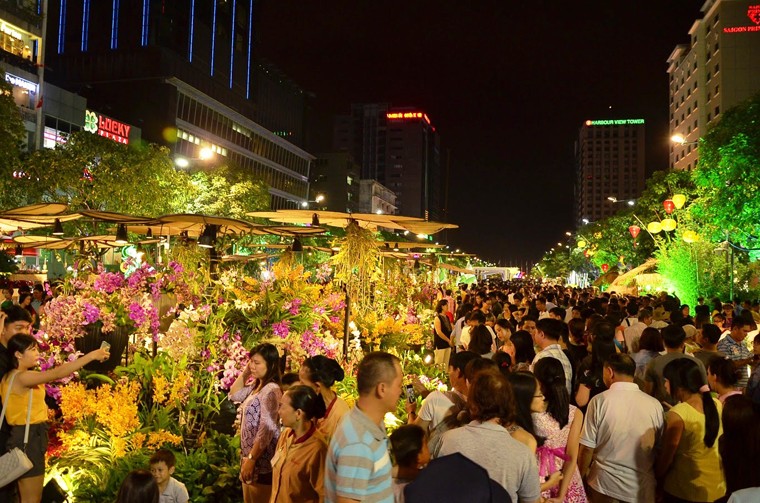 Anh: Bien nguoi chen kin duong hoa Nguyen Hue dem can Tet-Hinh-6